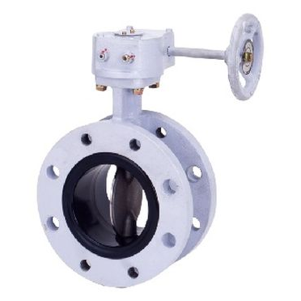 KITZ開滋蝶閥G-10NFJUE-300A