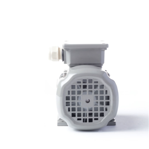 德國(guó)AC MOTOREN三相異步雙速電機(jī)AC07A2400002