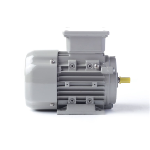 德國(guó)AC MOTOREN三相異步雙速電機(jī)AC07A2400002