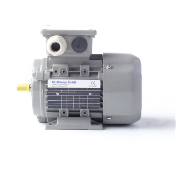 德國(guó)AC MOTOREN三相異步雙速電機(jī)AC07A2400002