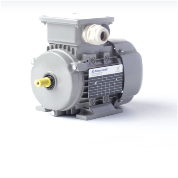 德國(guó)AC MOTOREN三相異步雙速電機(jī)AC07A2400002