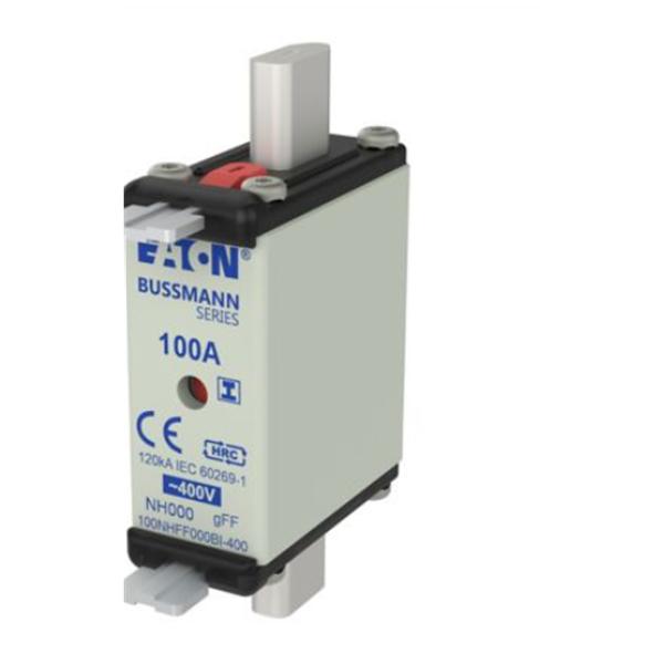 EATON伊頓刀片、玻璃管式斷路器和二極管CB123-10B